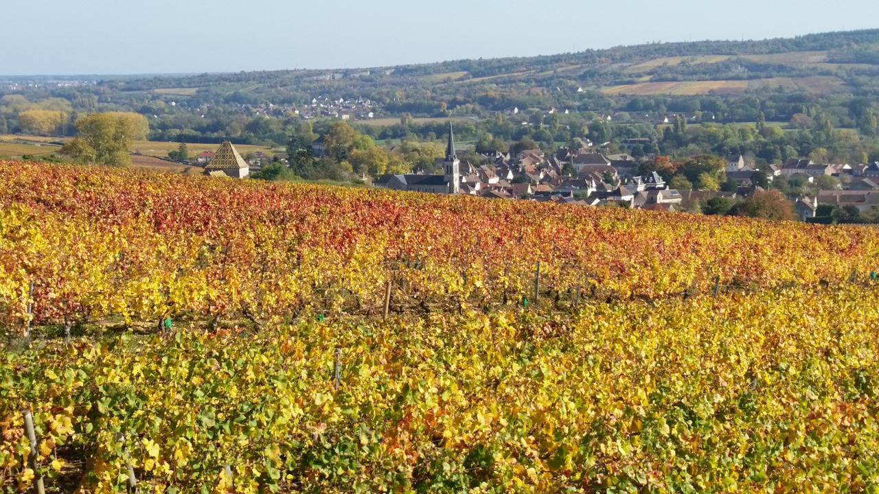 Logis Hotel De La Tete Noire Autun Esterno foto